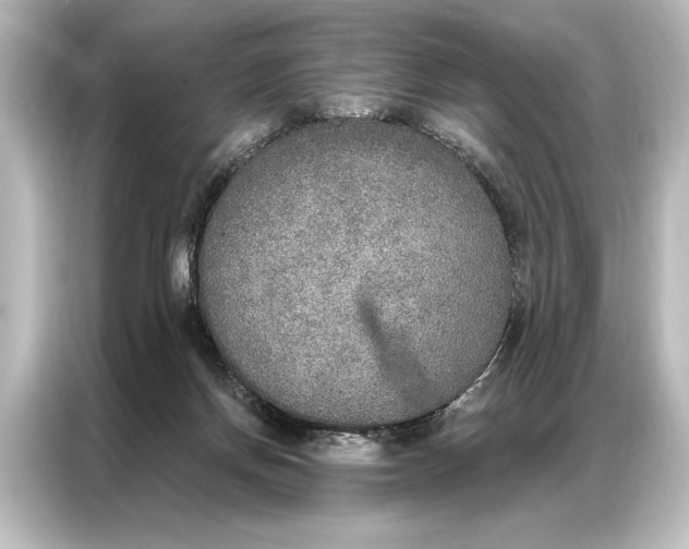 X0000087040166200705021143
