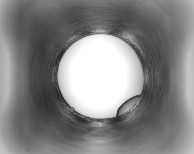 X0000087040167200705021143