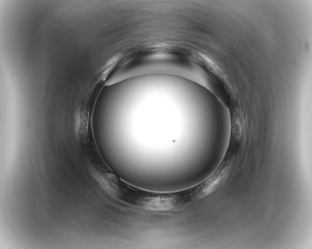 X0000087040168200705021144
