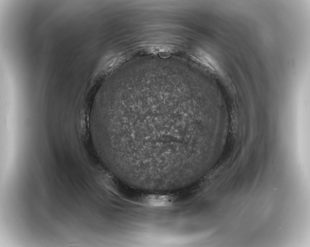 X0000087040169200705021144