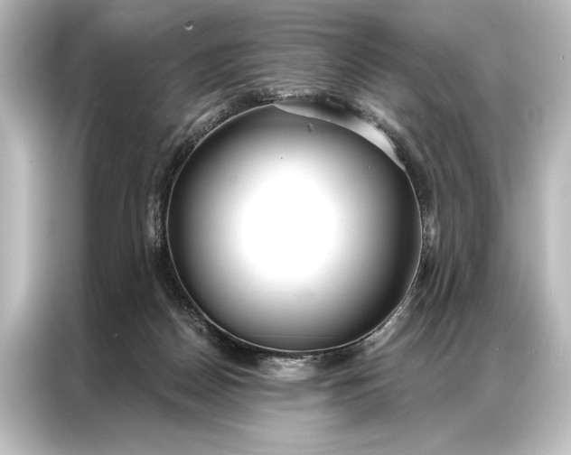 X0000087040170200705021144