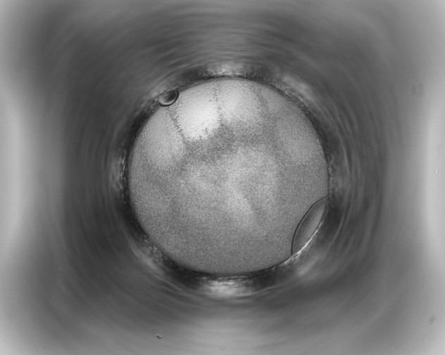 X0000087040171200705021144