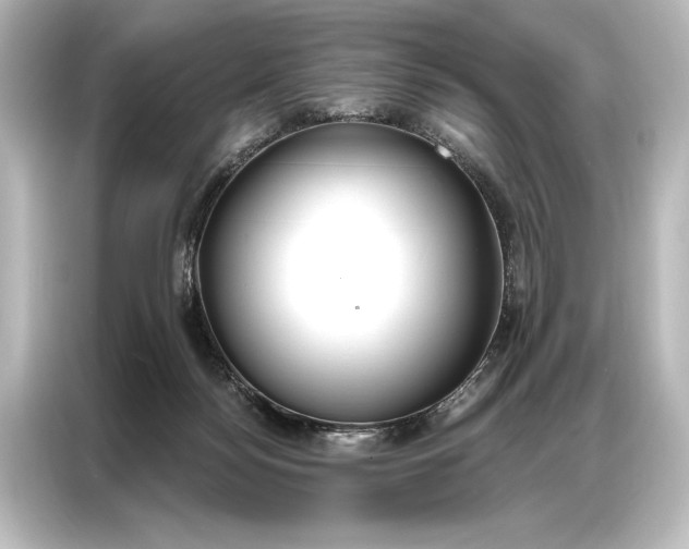 X0000087040172200705021144