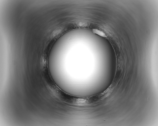 X0000087040176200705021144