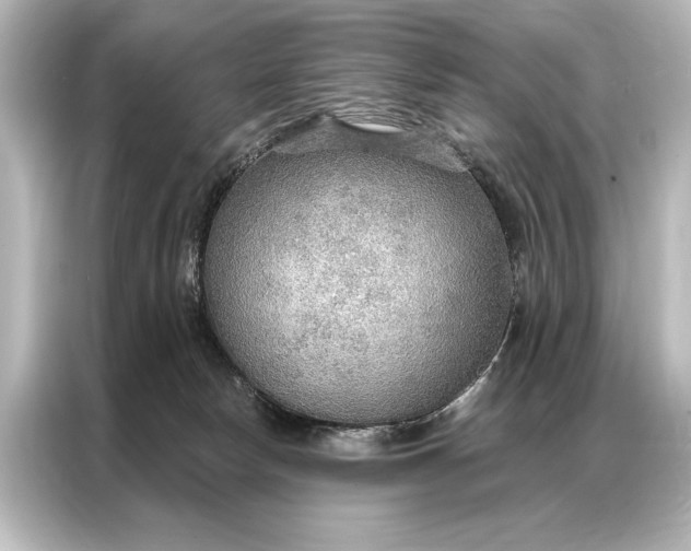 X0000087040178200705021144