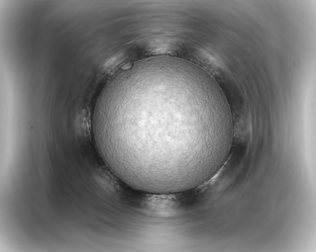 X0000087040179200705021144