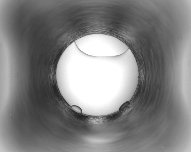 X0000087040181200705021144