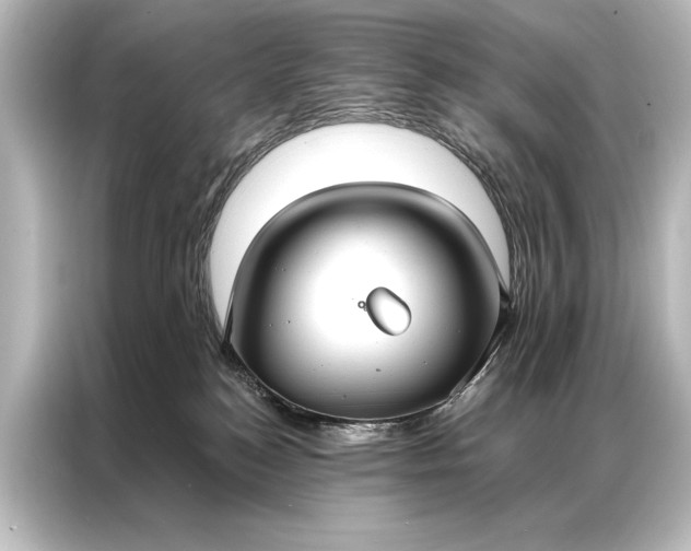 X0000087040184200705021144