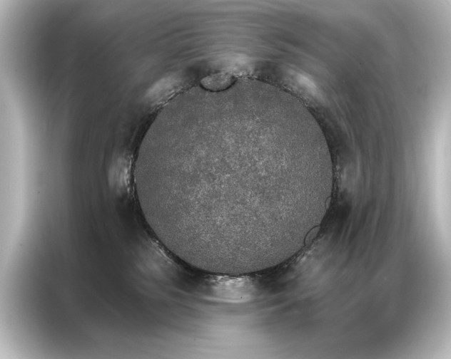 X0000087040185200705021144