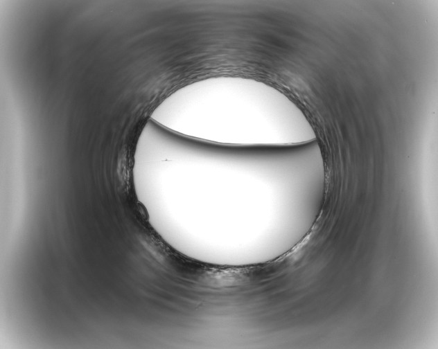 X0000087040186200705021144