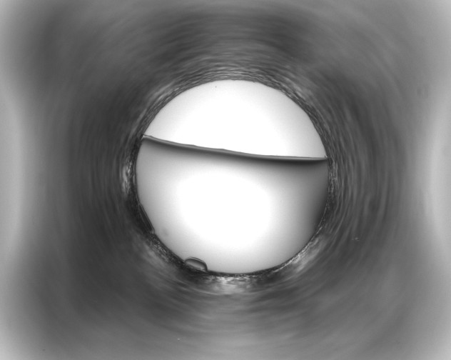 X0000087040188200705021144