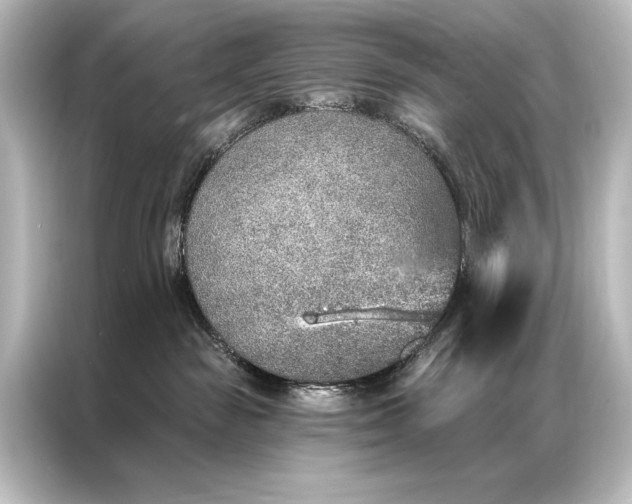 X0000087040189200705021144