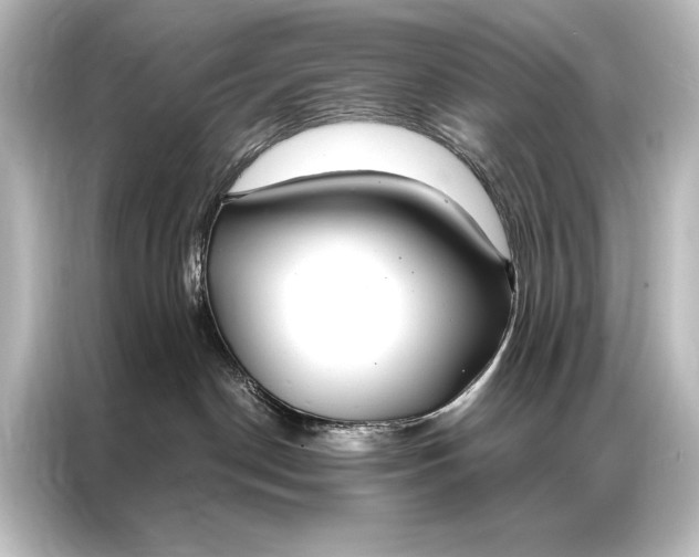 X0000087040190200705021144