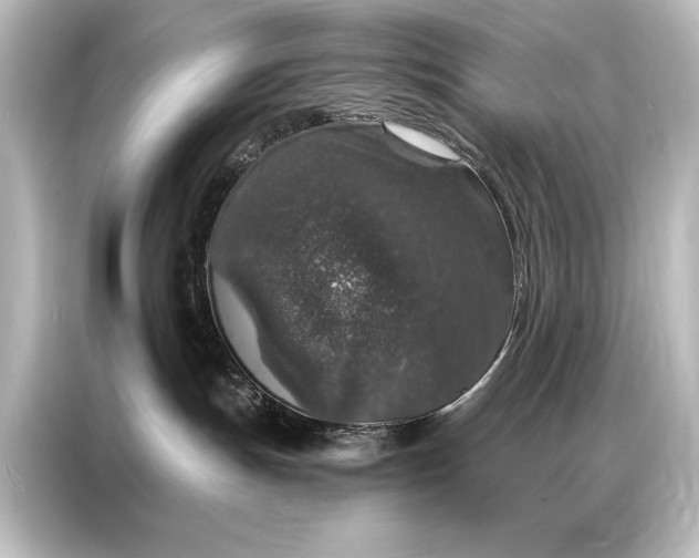 X0000087040191200705021144