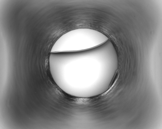 X0000087040192200705021144