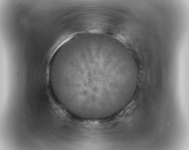 X0000087040194200705021143