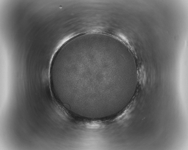 X0000087040196200705021143
