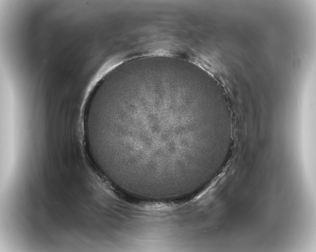 X0000087040198200705021143