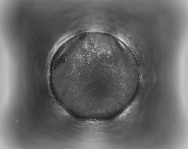 X0000087040199200705021143