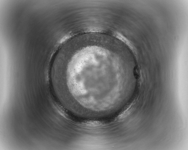 X0000087040203200705021143