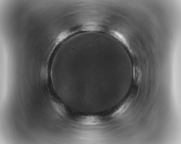 X0000087040204200705021143