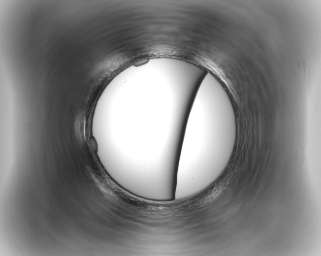 X0000087040205200705021143