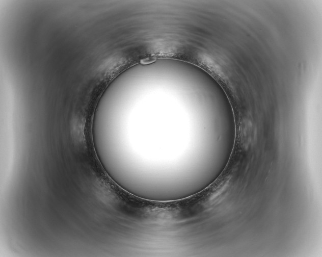 X0000087040209200705021143