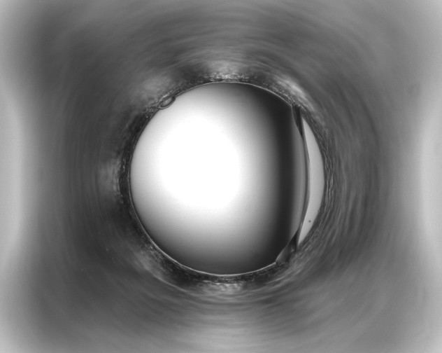 X0000087040217200705021143