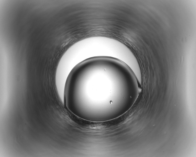 X0000087040219200705021143