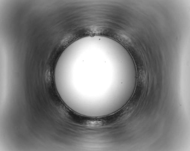X0000087040220200705021143
