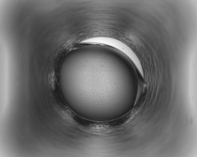 X0000087040223200705021143