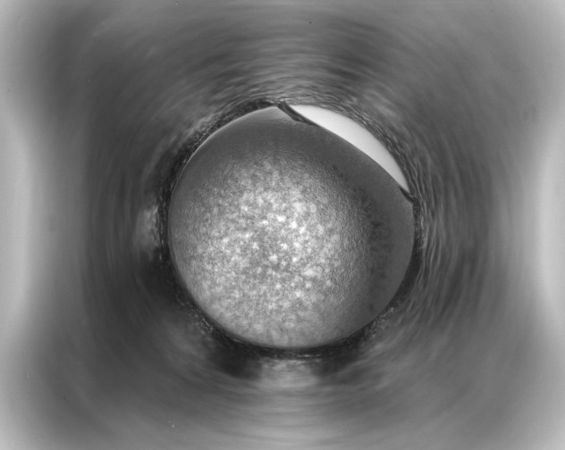 X0000087040224200705021143