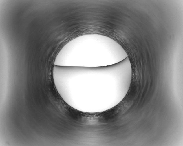 X0000087040228200705021143
