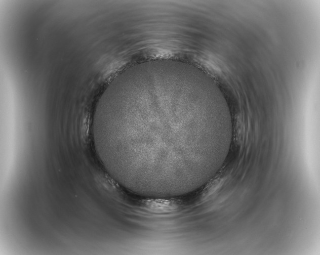 X0000087040230200705021143