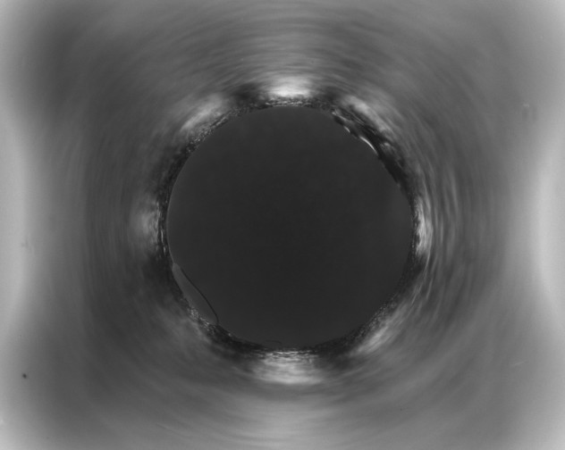 X0000087040231200705021143