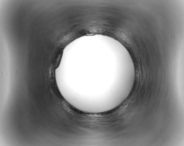 X0000087040233200705021143