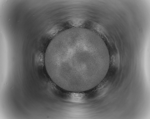 X0000087040234200705021143