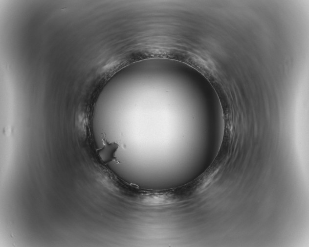 X0000087040235200705021143