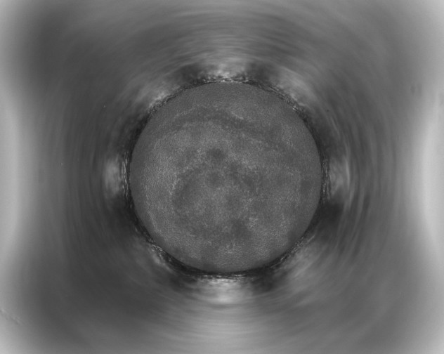 X0000087040236200705021143