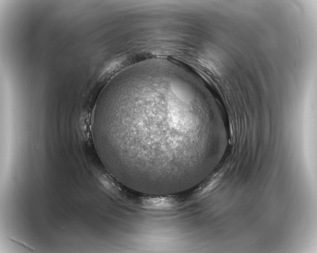 X0000087040237200705021143