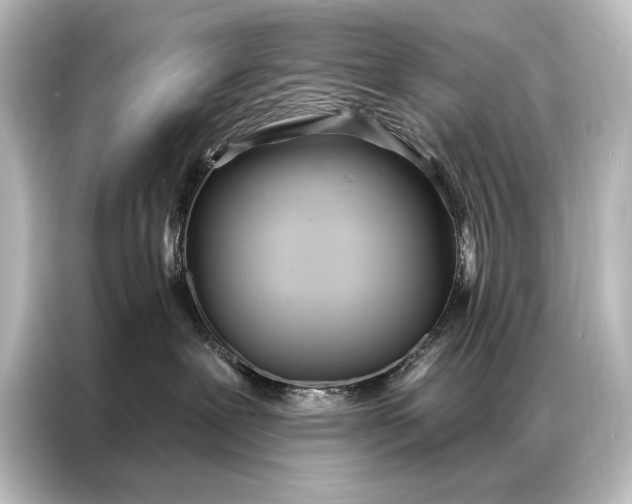 X0000087040239200705021143
