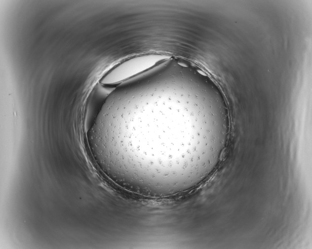 X0000087040241200705021142