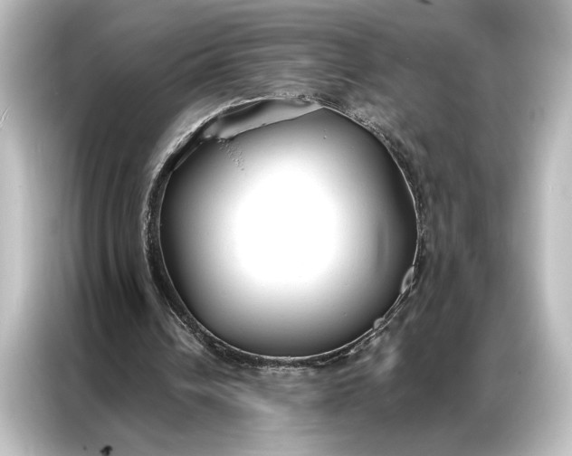X0000087040242200705021142
