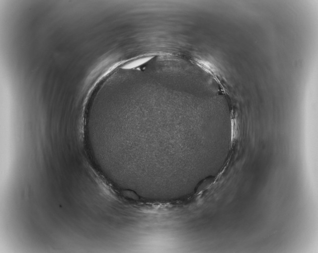 X0000087040243200705021142