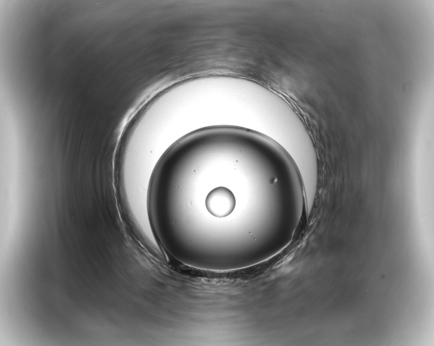 X0000087040244200705021142