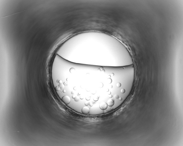 X0000087040245200705021142