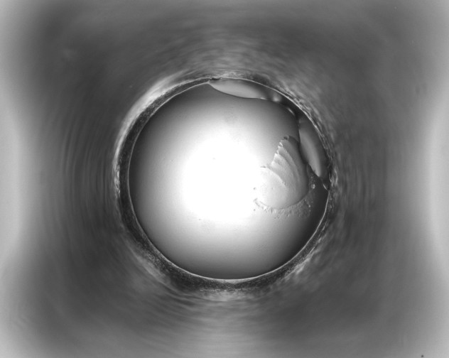 X0000087040246200705021142