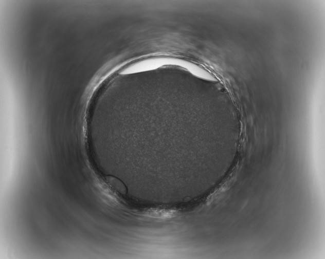 X0000087040247200705021142