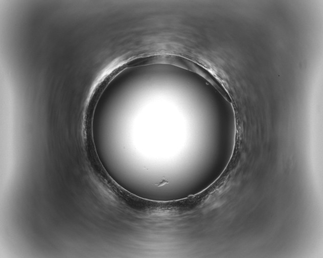 X0000087040248200705021142