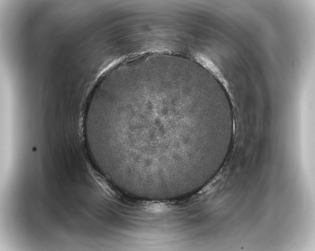 X0000087040249200705021142